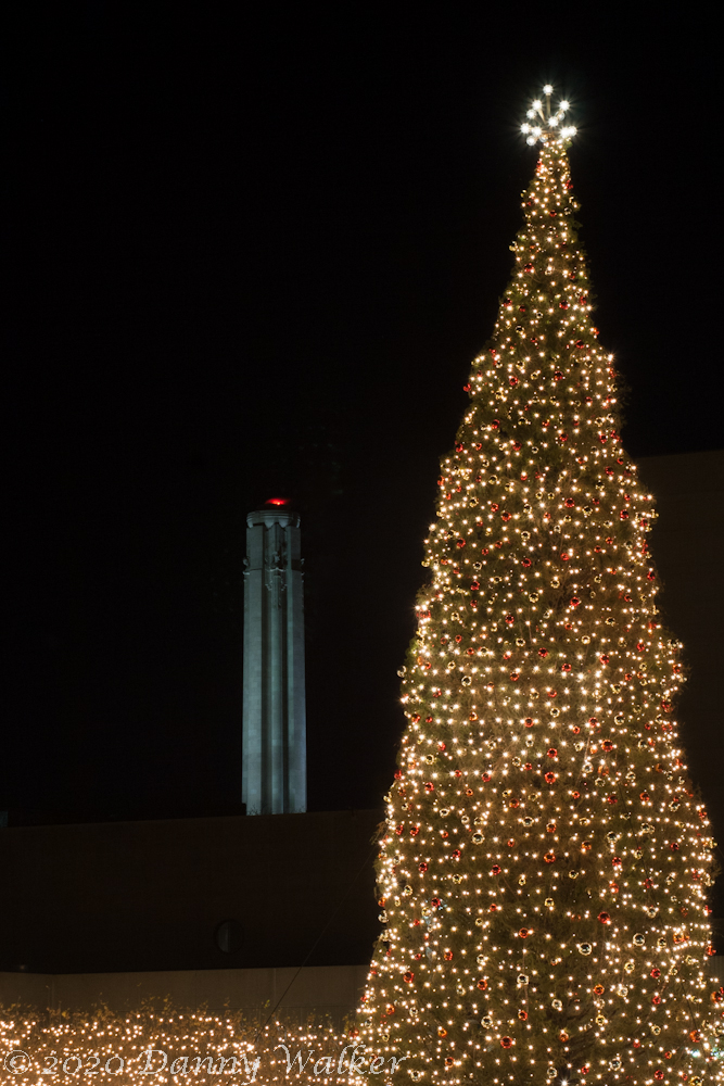Christmas tree with white lights and a tower in the background.